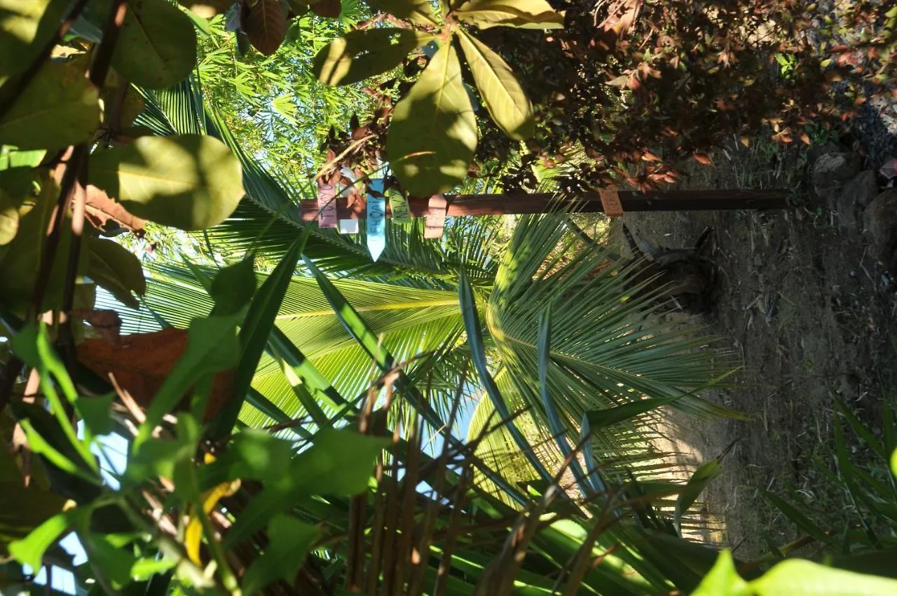 Hotel Mango Island Lodges Saint Joseph